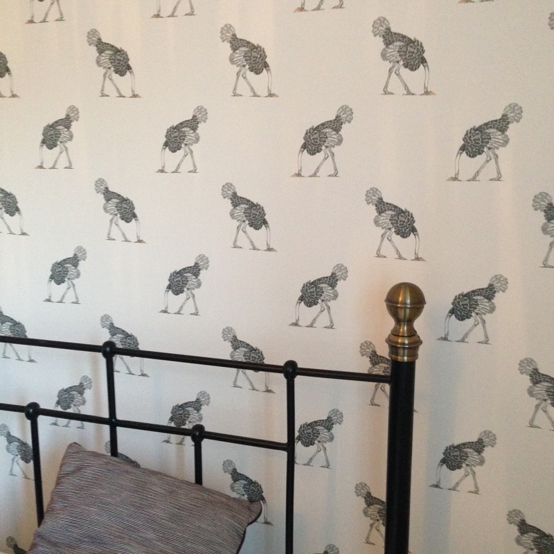 Ostrich by Beware the Moon