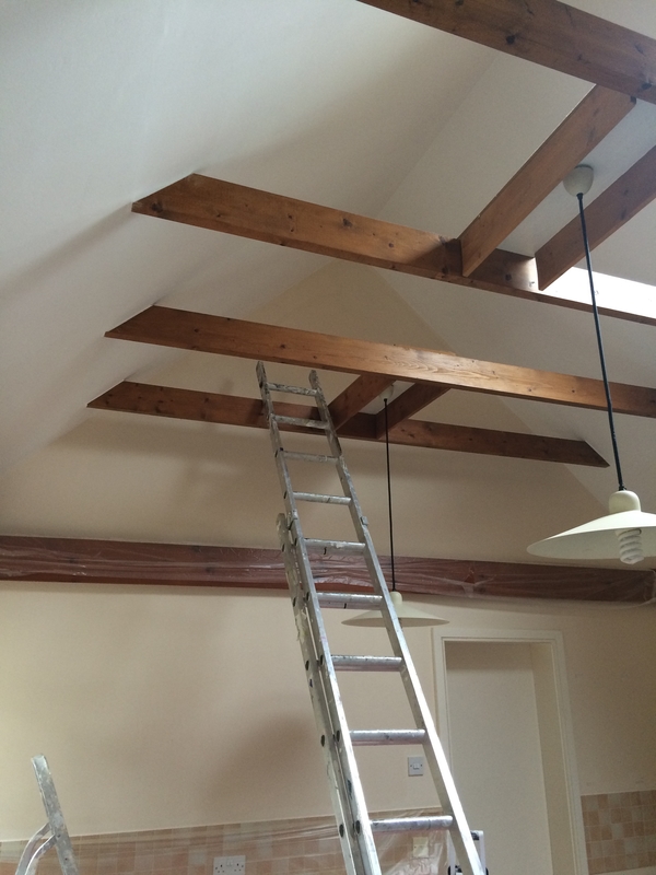 Vaulted ceiling painting