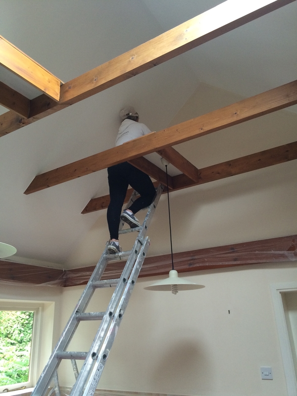 Vaulted ceiling painting