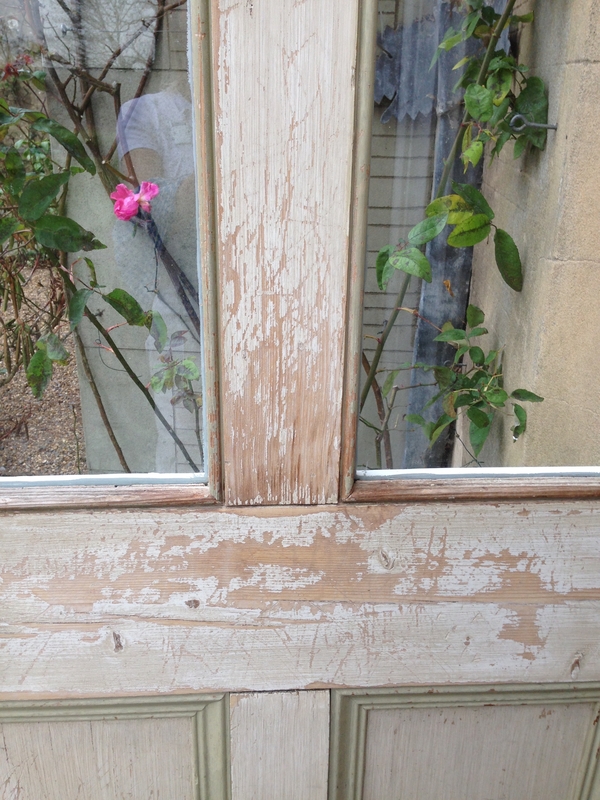 Pet damage - door frame