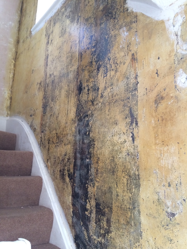 Walls ready for stain treatment and priming coat