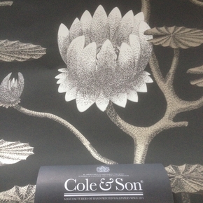 Cole & Son - Summer Lily